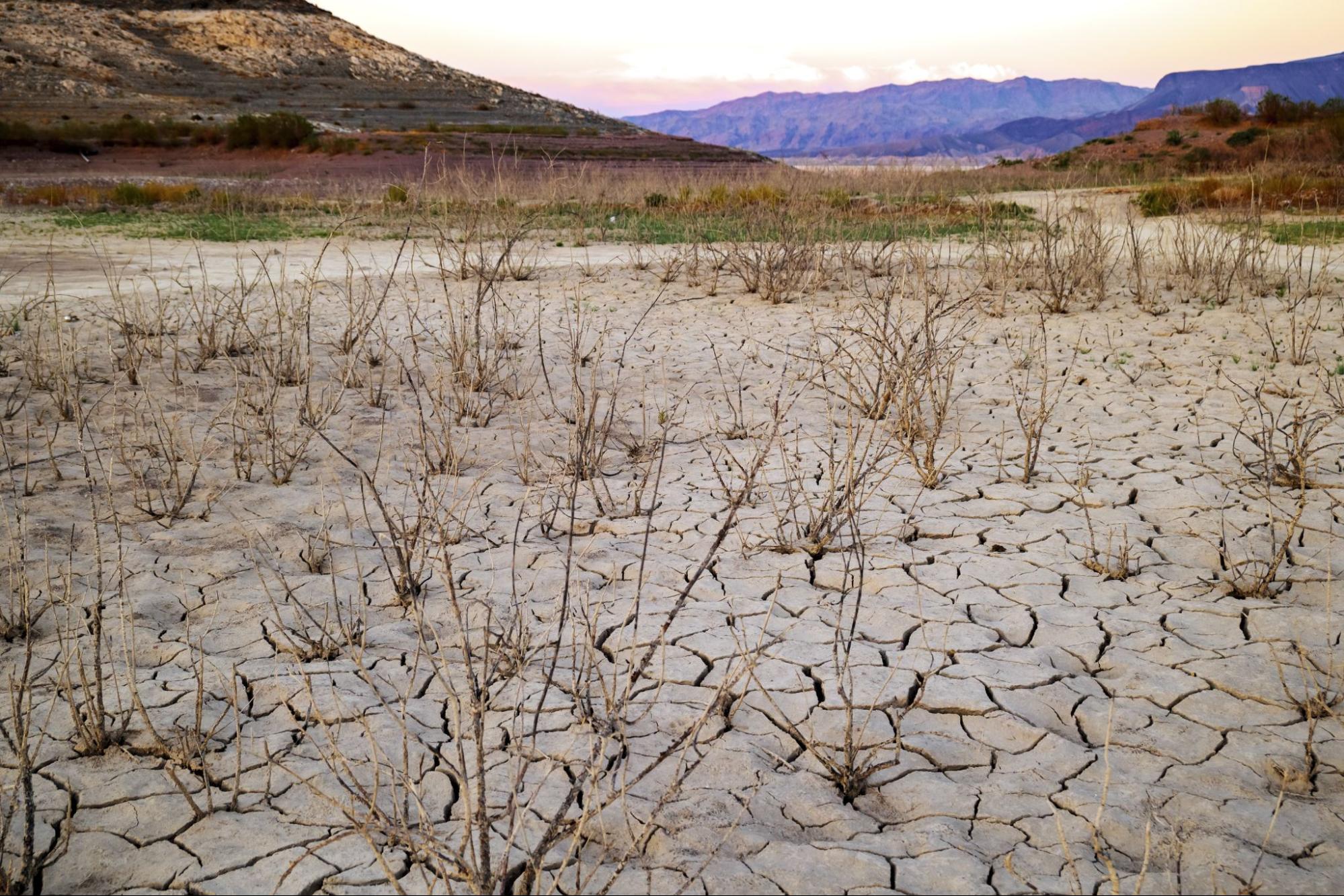 drying lake mead in nevada during the drought