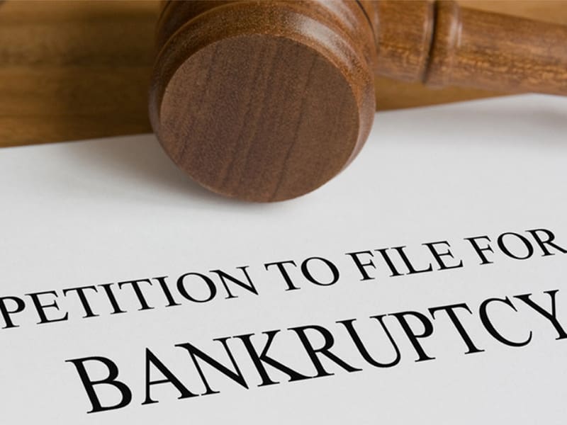 petition to file for bankruptcy document